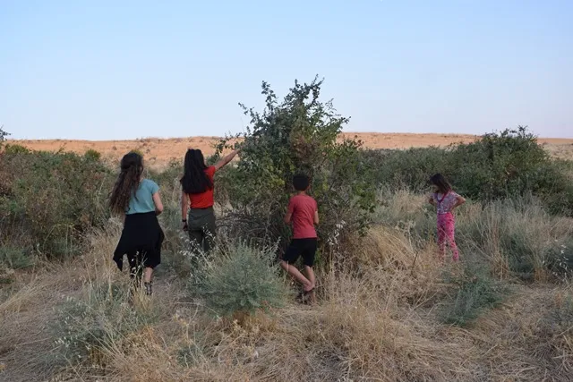 Kanî û çemê Cereh cihê şînbûna tûyên bejî ye
