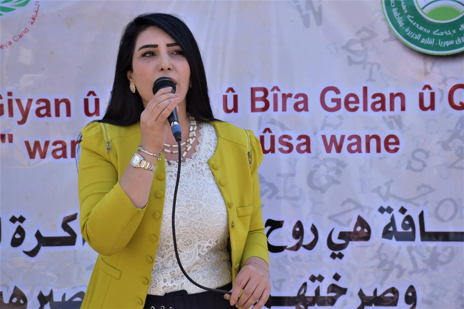 Li Hesekê pêşangeha çand û folklore pêkhateyan