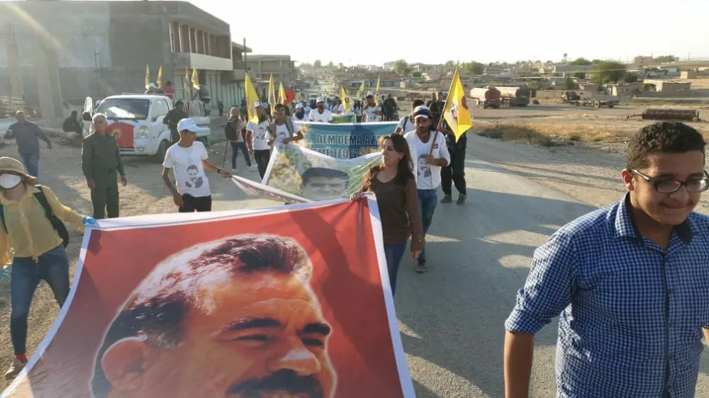 Meşa ciwanan gihişte Çilaxa