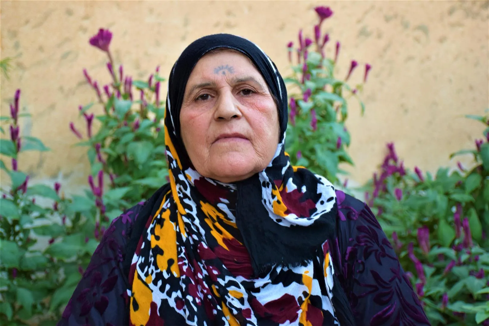 'Fikir û felsefeya Ocalan sedema pêkanîna komployê ne'