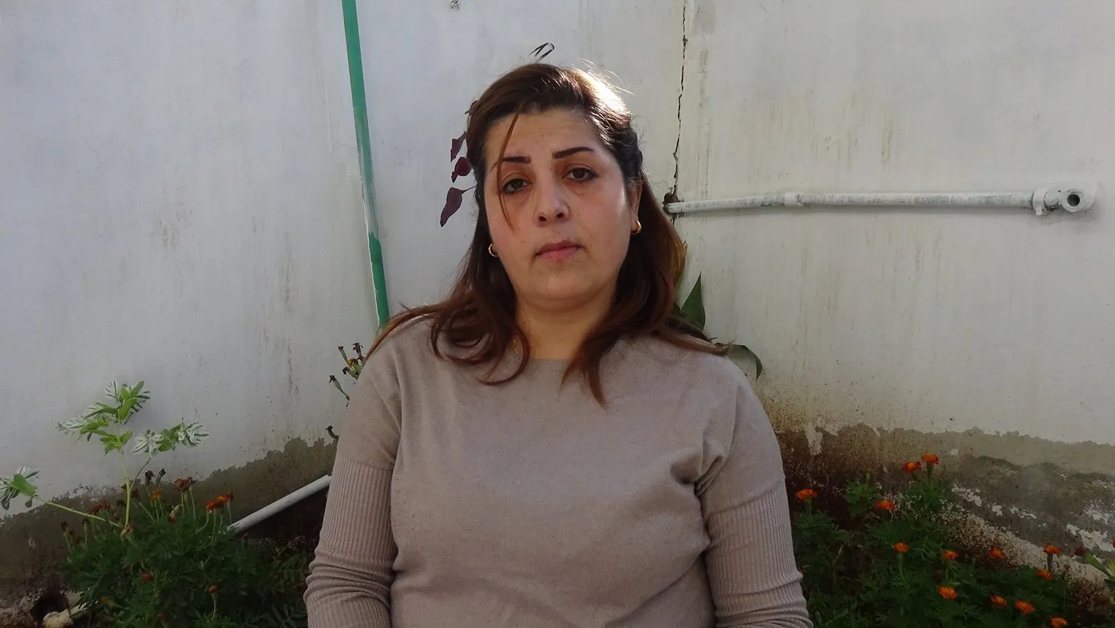 Çalakiyên 25'ê Mijdarê yên li Şehbayê hatin eşkerekirin