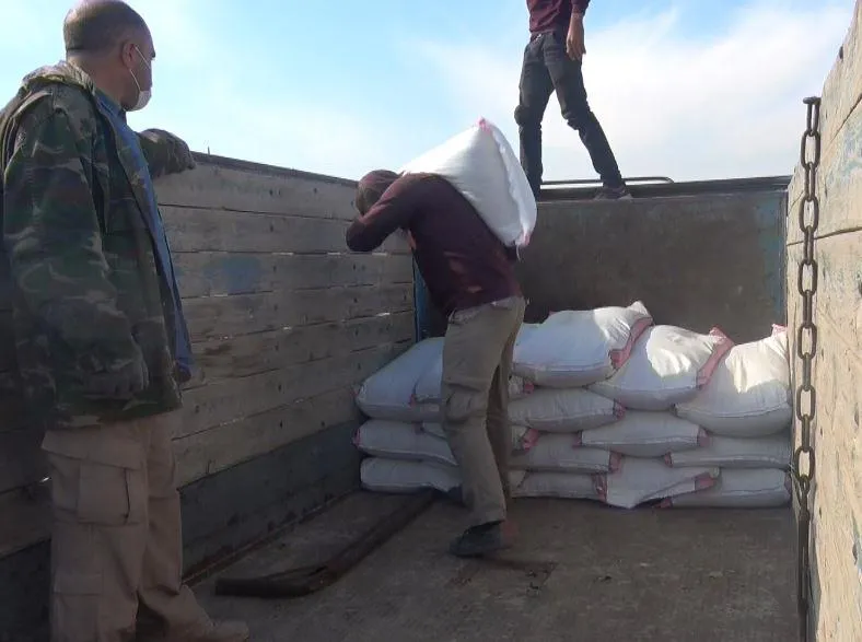 Li Kobanê ji bo pêşîlêgirtina vîrusa Koronayê, genim li derveyî bajêr tê belavkirin
