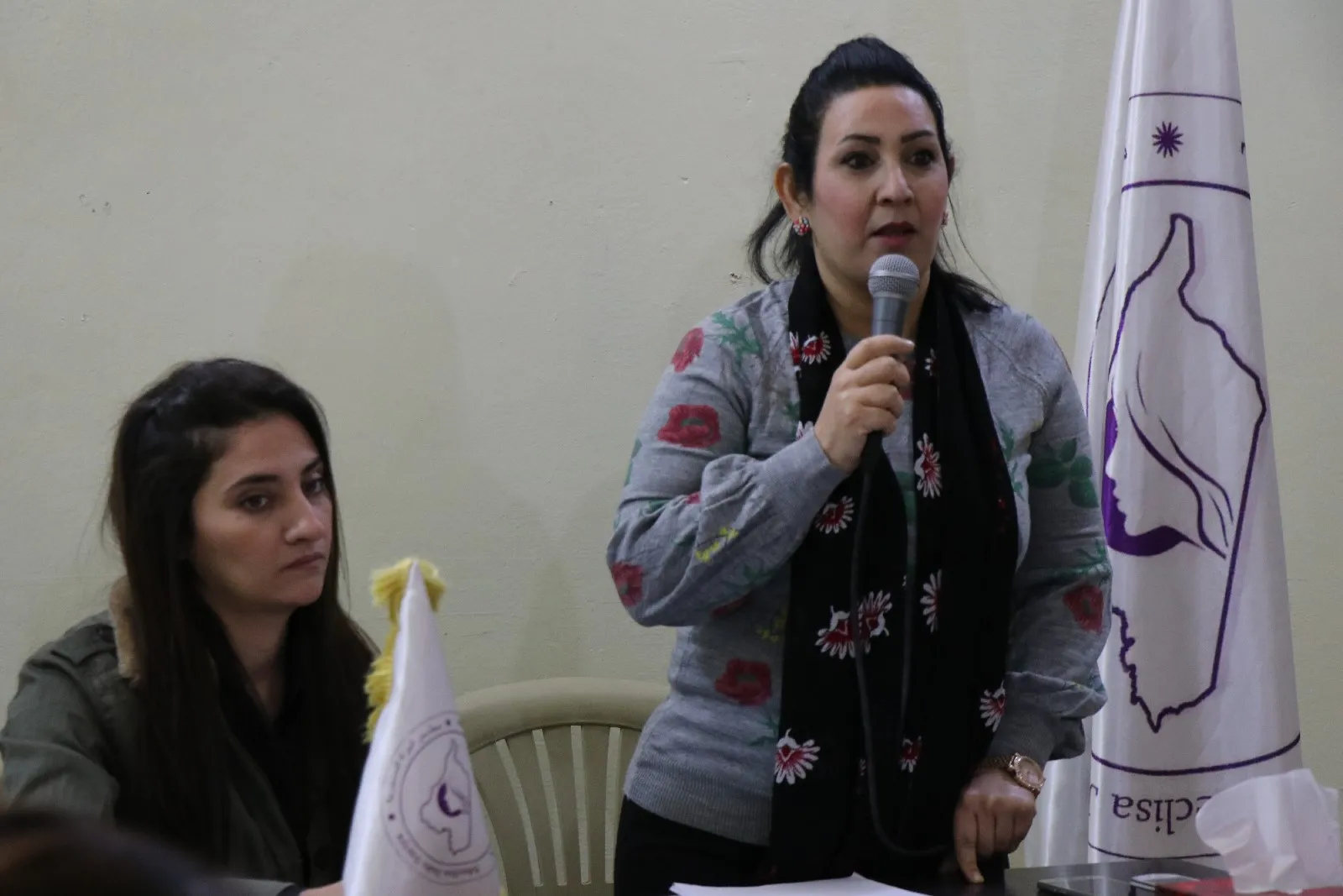 Li Helebê panela "Sûcên li dijî jinan"