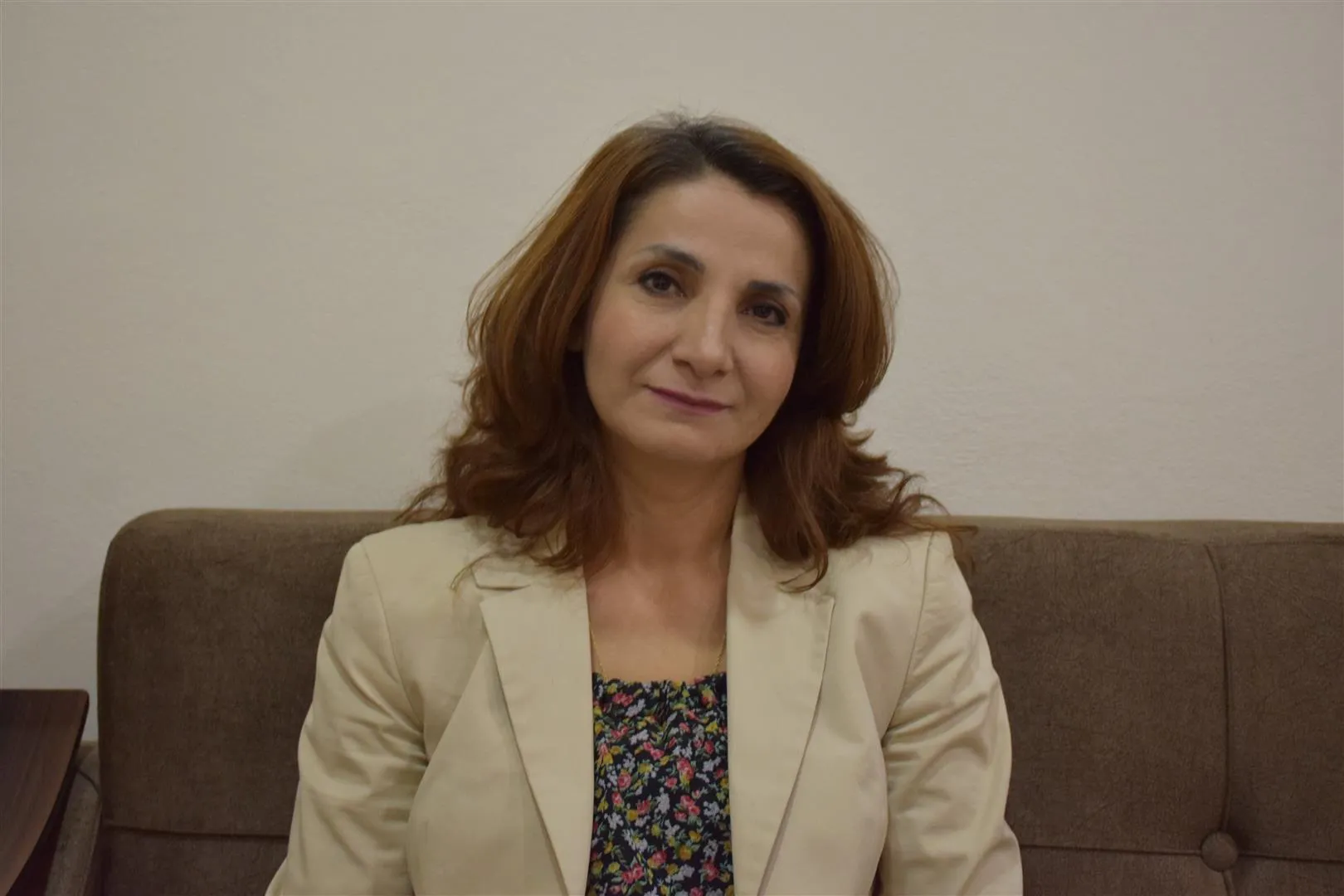 ​​​​​​​Ebîr Hesaf: Divê PDK hêzên xwe neşîne Herêmên Parastina Medyayê