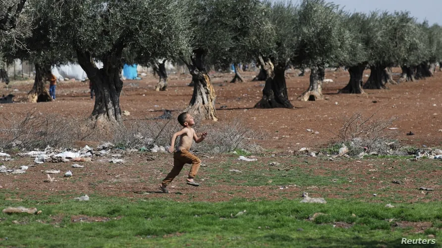 VOA: Dewleta Tirk şêniyên Efrînê neçar dike ku zeytûnan bifiroşin wan an jî alîgirên wan