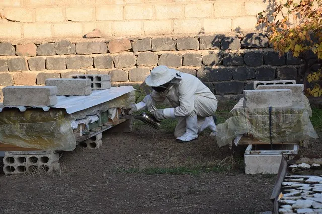Mîrateyeke malbatî… ji 50 salî ve mêşên bavê xwe xwedî dike