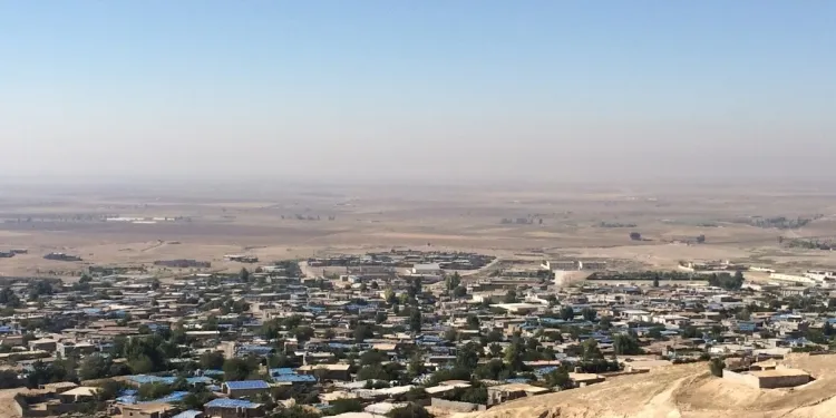 ​​​​​​​Şêniyekî Mexmûrê di girtîgeha PDK`ê de jiyana xwe ji dest da