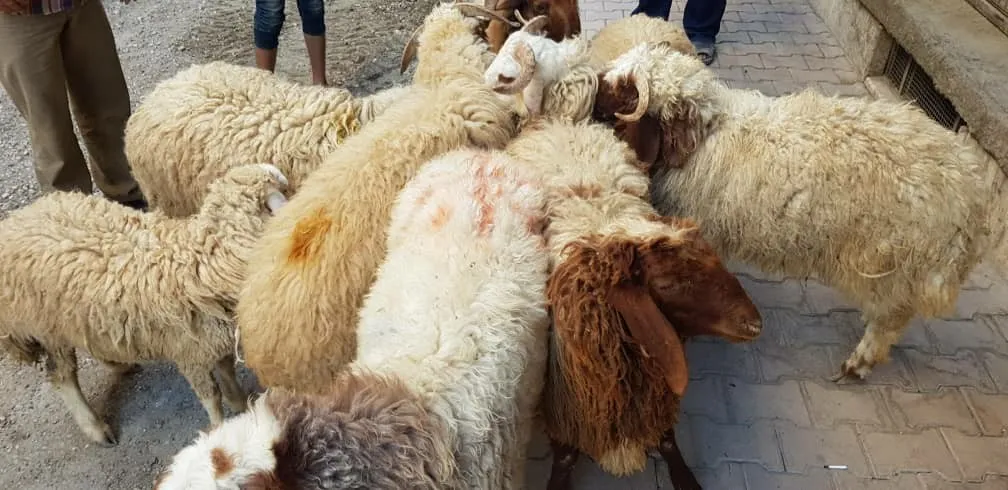 Kampanyaya ‘Ez alîkar im’ heta niha destek daye 200 malbatan