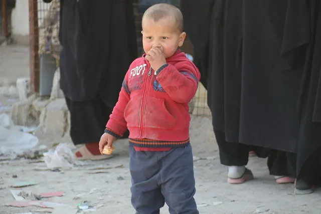 Li Kampa Holê zarokên salek derbas nekirine hene…gelo ji ku hatine?