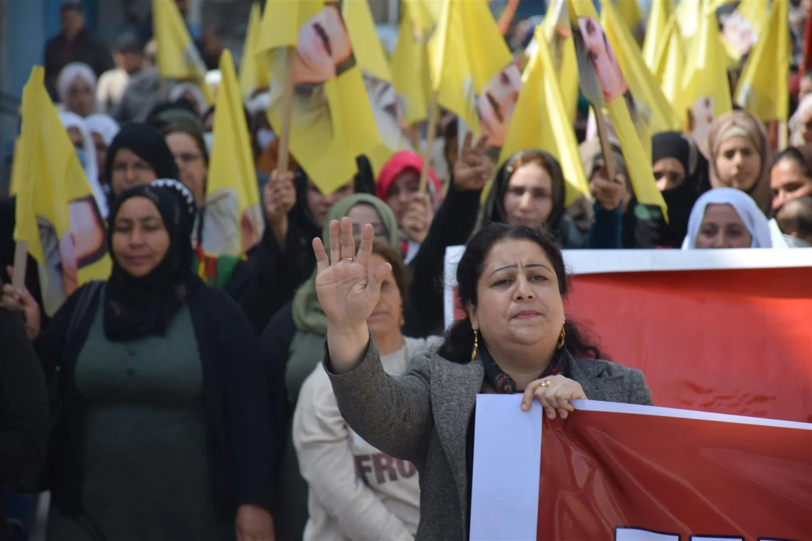 ​​​​​​​Li Bakur û Rojhilatê Sûriyê bi deh hezaran kes ji bo Ocalan li qadan bûn
