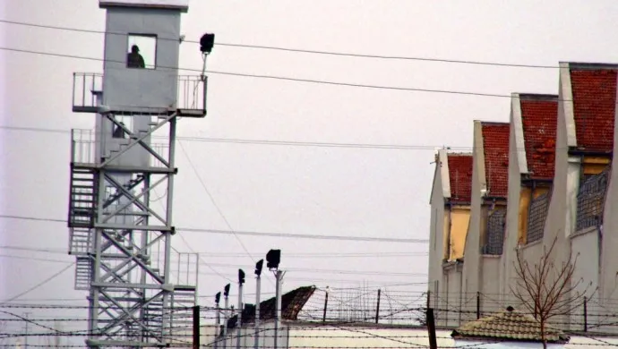 Greva birçîbûnê ya girtiyên azadiyê bi biryardarî berdewam e