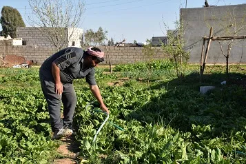 Digel bihabûnê... çandina sebzeyên malê çareserî ye