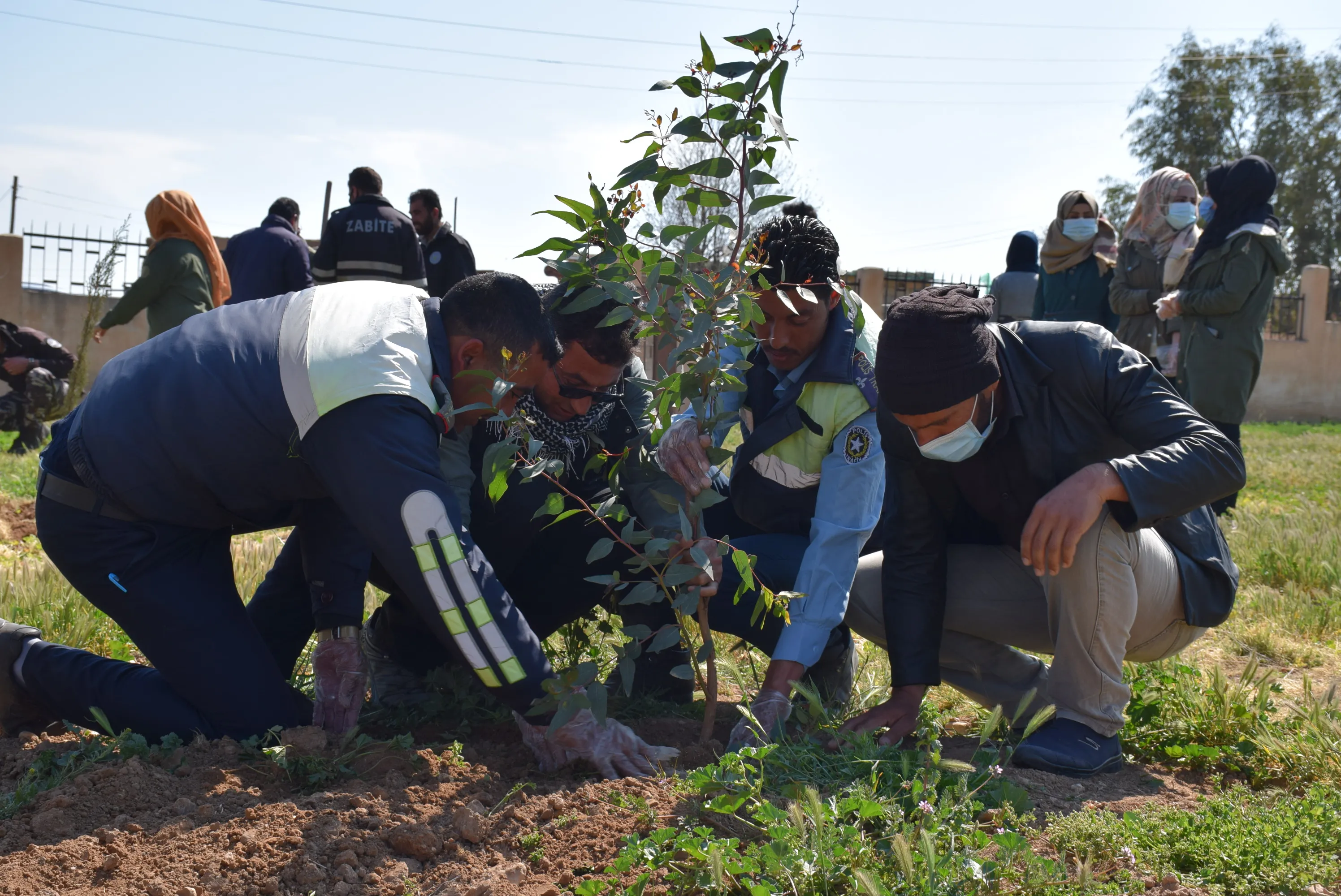 Şêniyên Bakur û Rojhilatê Sûriyê 4`ê Nîsanê bi çandina daran pîroz dikin