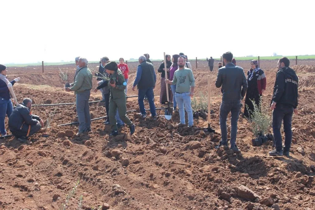 Şêniyên Bakur û Rojhilatê Sûriyê 4`ê Nîsanê bi çandina daran pîroz dikin