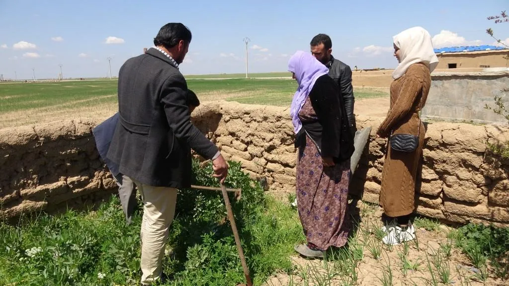 Li Bakur û Rojhilatê Sûriyê pîrozbahiyên ji bo rojbûna rêber Ocalan