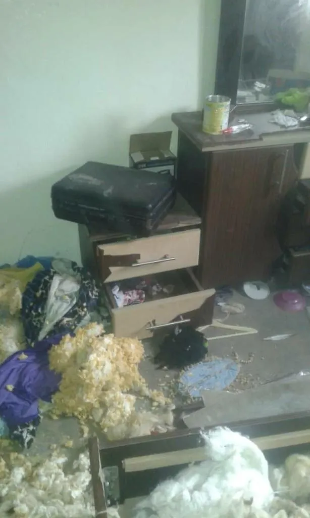 Gundên Zirganê di navbera topbarana Tirkiyê û talankirina Hêzên hikumeta Şamê de ye