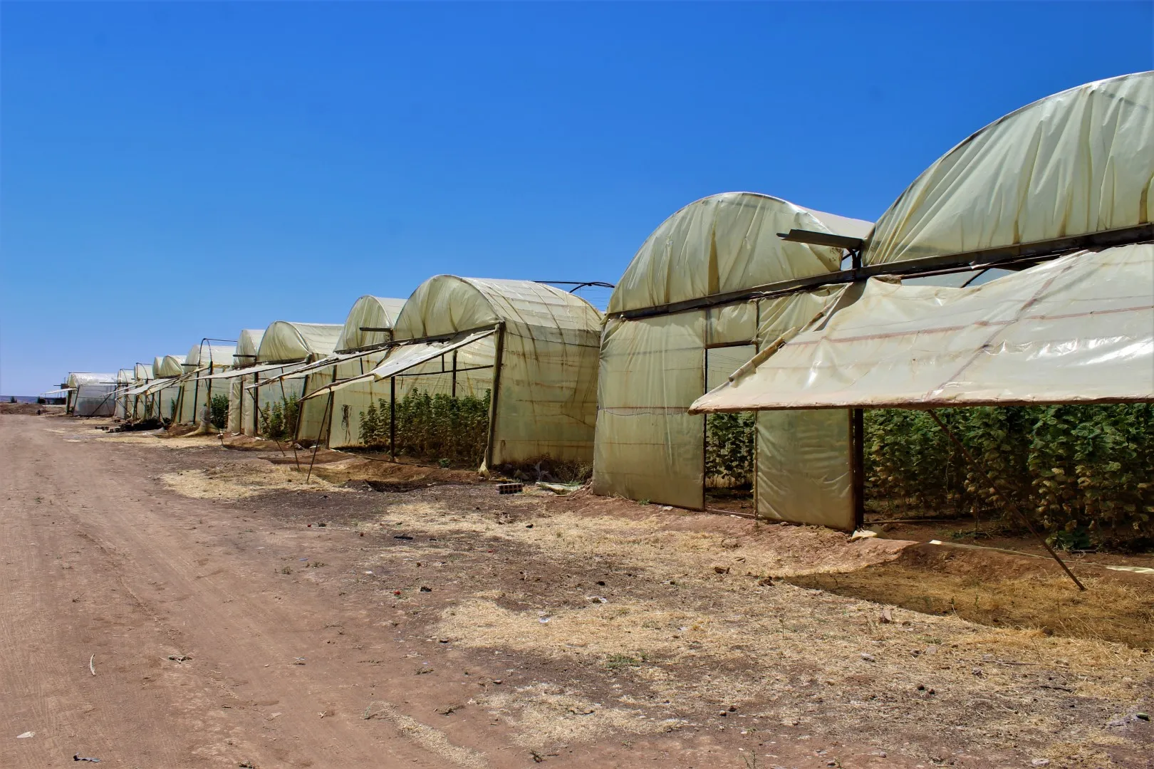 Projeyên herêmî bingeha pêkanîna rêgeza xwetêrkirinê ne