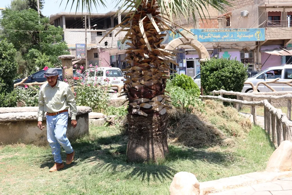 Şaredariya Dêrikê pêngavek da destpêkirin
