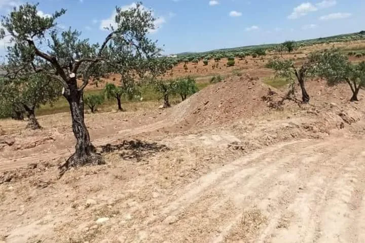Li Efrînê rêzesûcên din hatin belgekirin