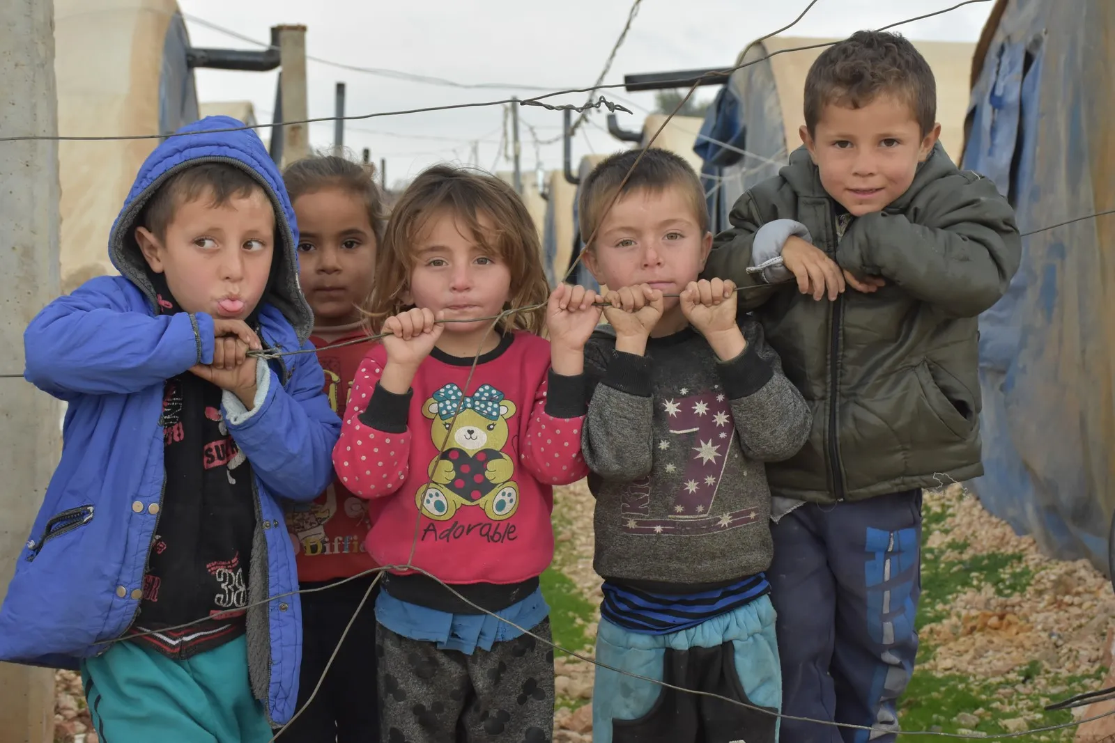 Koçberên Efrînê ji ber girtina dergehan bi kareseteke mirvoî re rû bi rû ne