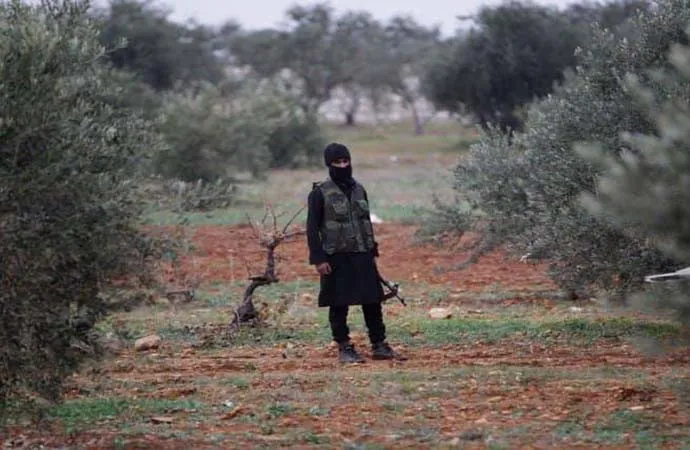 Çavkaniyên ji Efrînê: Çete li her dareke zeytûnê bacên mezin ferz dikin