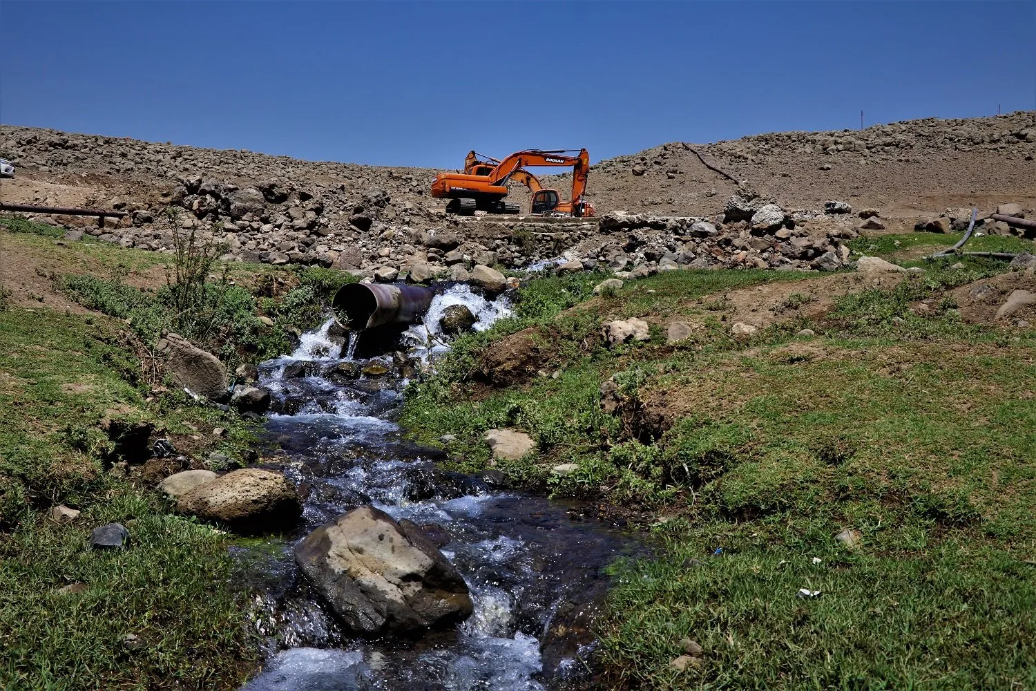 Welatiyekî ji Dêrikê herêma Siwêdîkê bedew dike