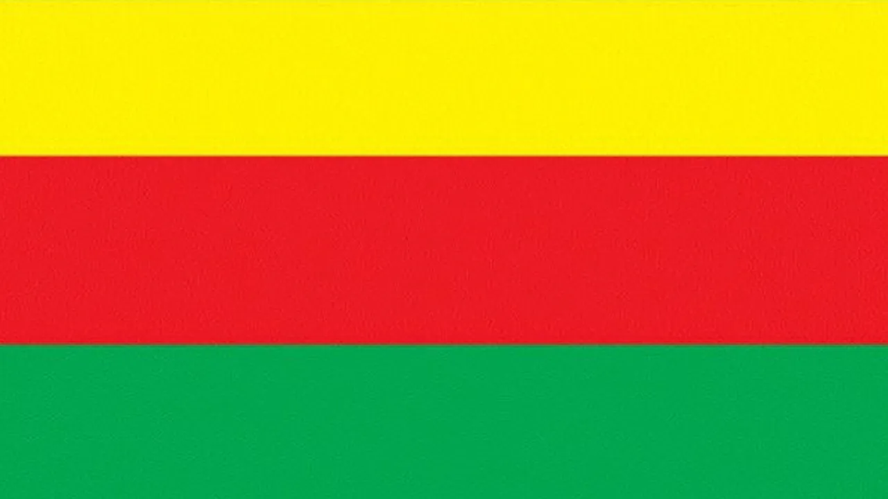 TEV-DEM`ê banga naskirina komkujiya Şengalê û hesabxwestinê kir