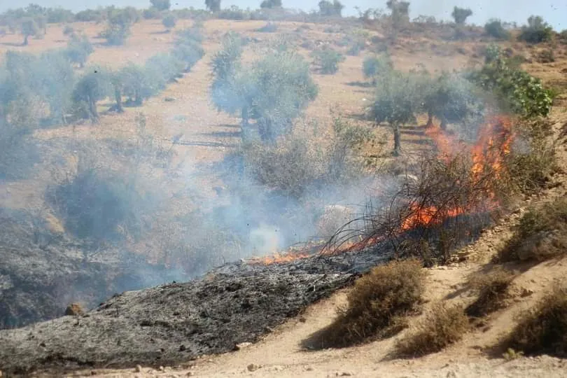Dagirkeran agir berdan daristanên Efrînê