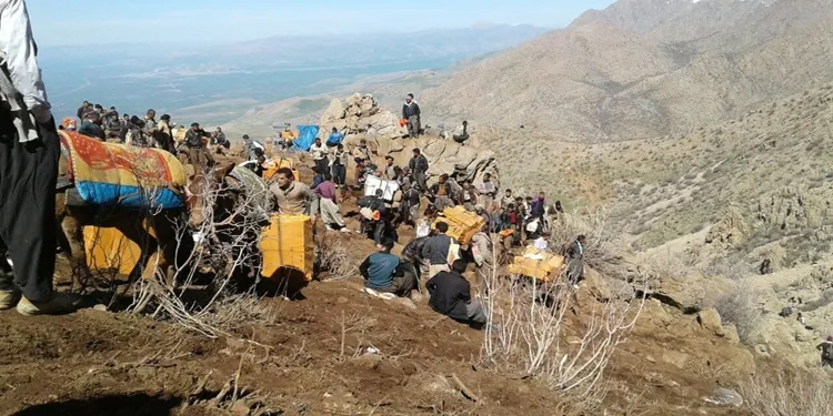 Leşkerên Îranê êriş bire ser kolberan: Kolberek birîndar bû