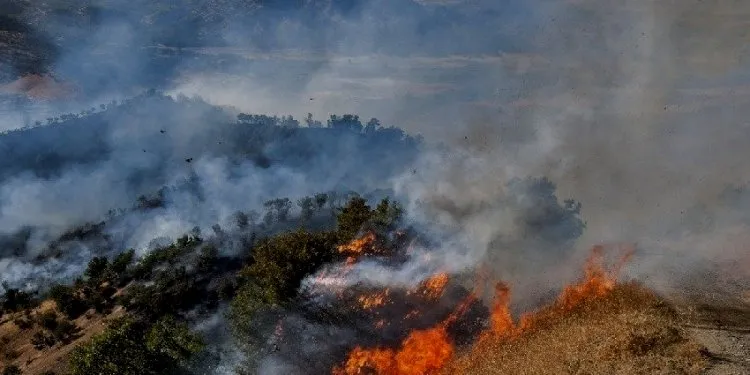 Çekên kîmyewî bi kar tîne, daristanan dişewitîne û diçe kongreya parastina avhewayê!