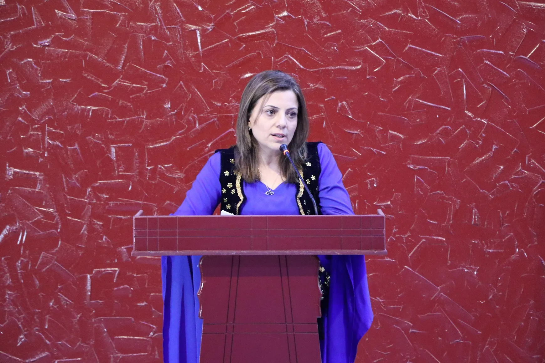 Meclisa Jinan a Zanîngeha Rojava duyemîn civîna xwe ya berfireh li dar xist