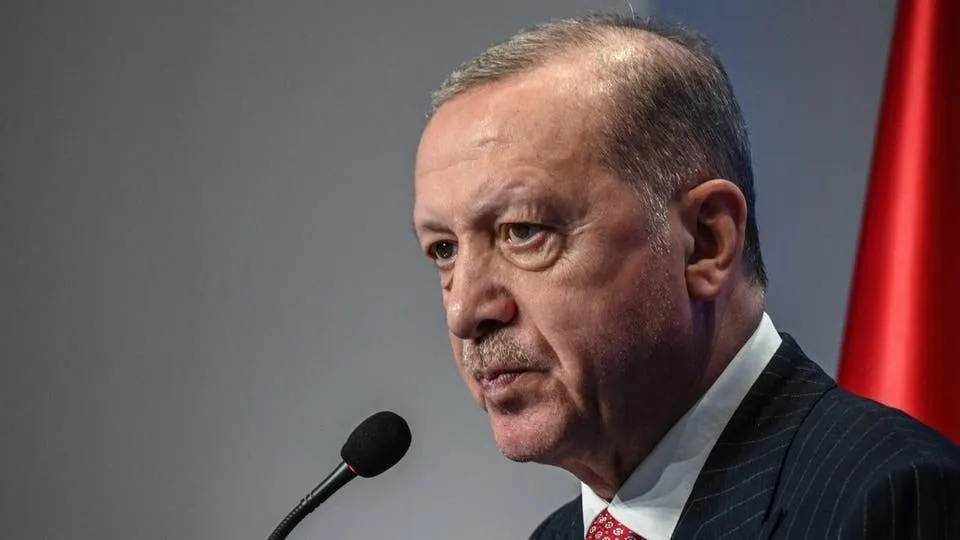 ‛Kesên li ser tenduristiya Erdogan diaxivin, tên serdegirtin’