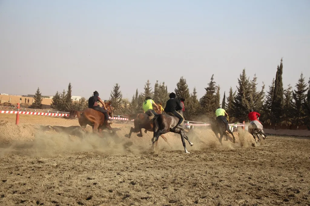 Li Minbicê pêşbirka hespên erebî yên esîl