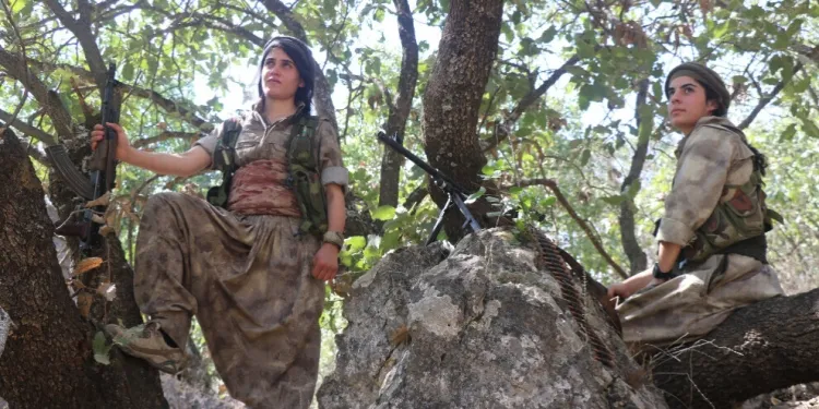 ​​​​​​​Di çalakiyên gerîlayan de 3 çeperên dagirkeran hatin rûxandin