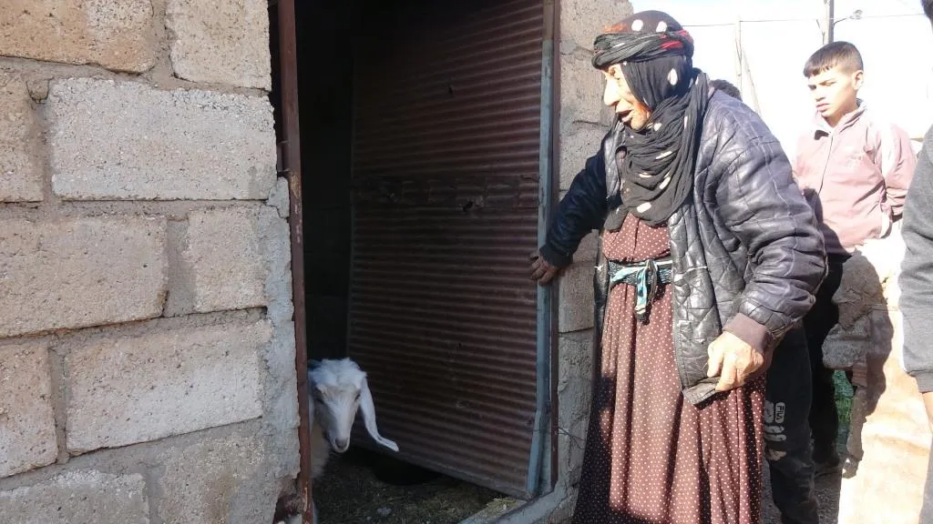 Dapîra Delê: Ez ê canê xwe ji bo hêzên ku vî bajarî diparêzin feda bikim