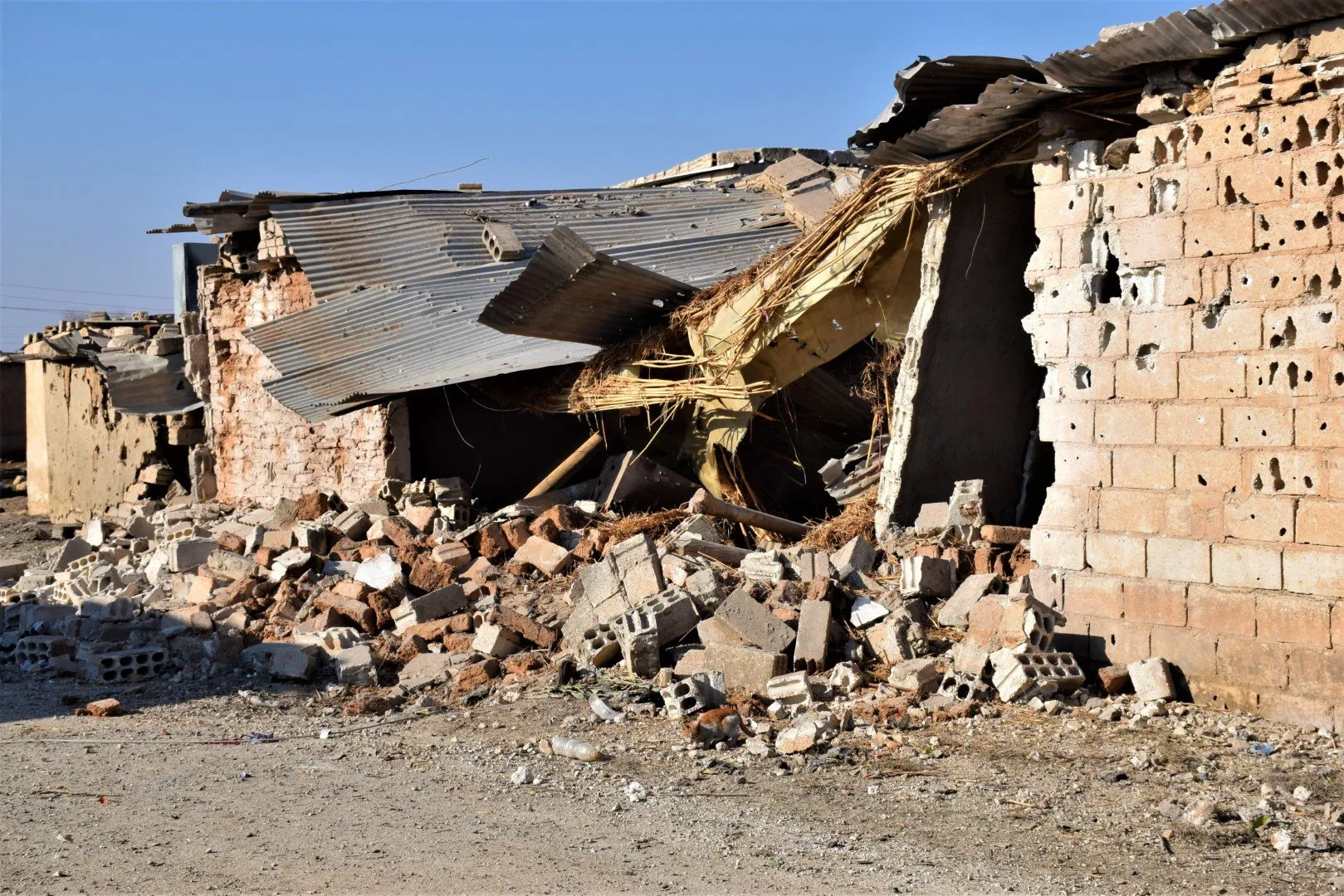 Şêniyên Zirganê: Ew kesên îdia dikin misilman in dûrî ol û exlaq in