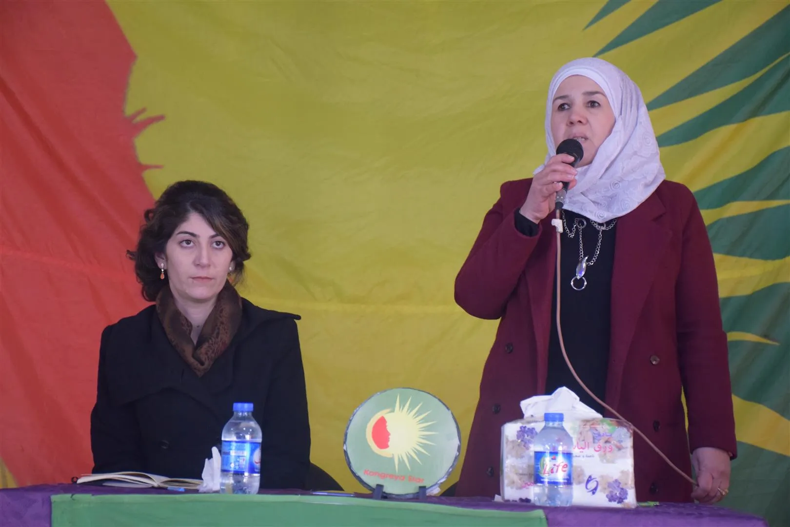 Şêniyên herêma Cizîrê şehîdên komkujiya Parîsê bibîr anîn