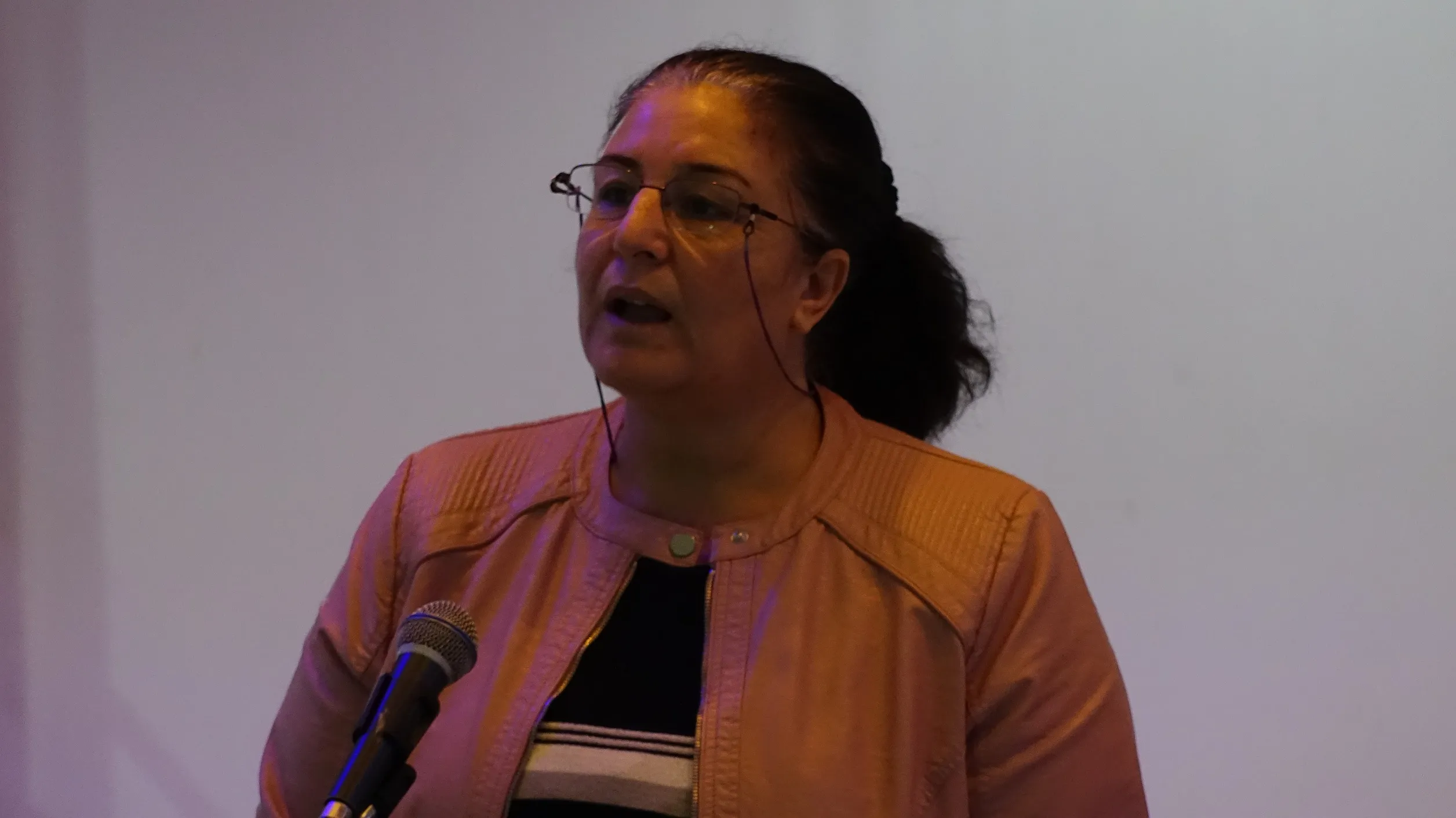Di salvegera şehadeta Sakîne, Leyla û Fîdan de banga xurtkirina têkoşînê hate kirin