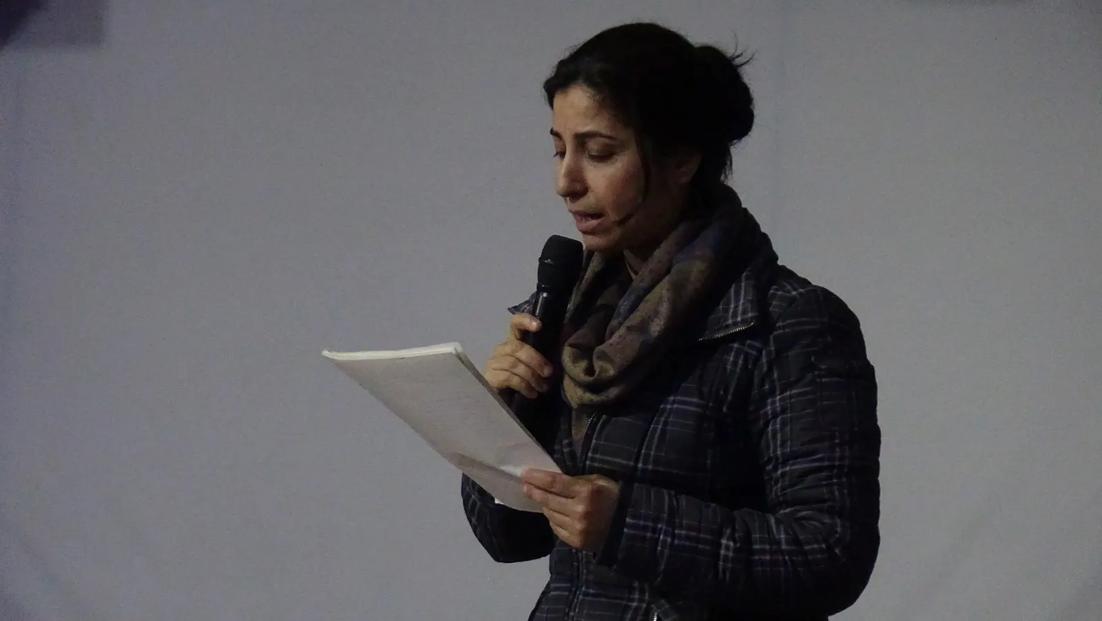 ​​​​​​​Li Minbic, Kobanê û Şehbayê çalakiyên şermezarkirina komployê