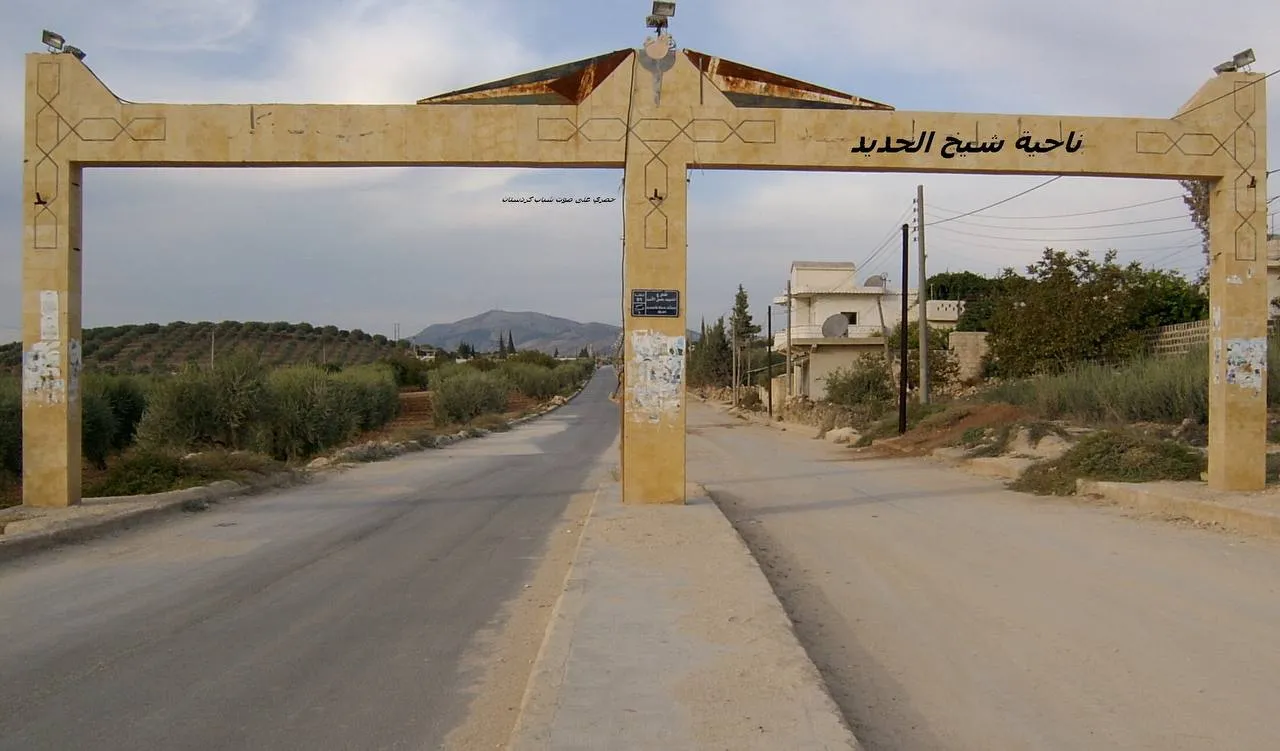 Çeteyên li Efrînê 3 welatiyên din revandin