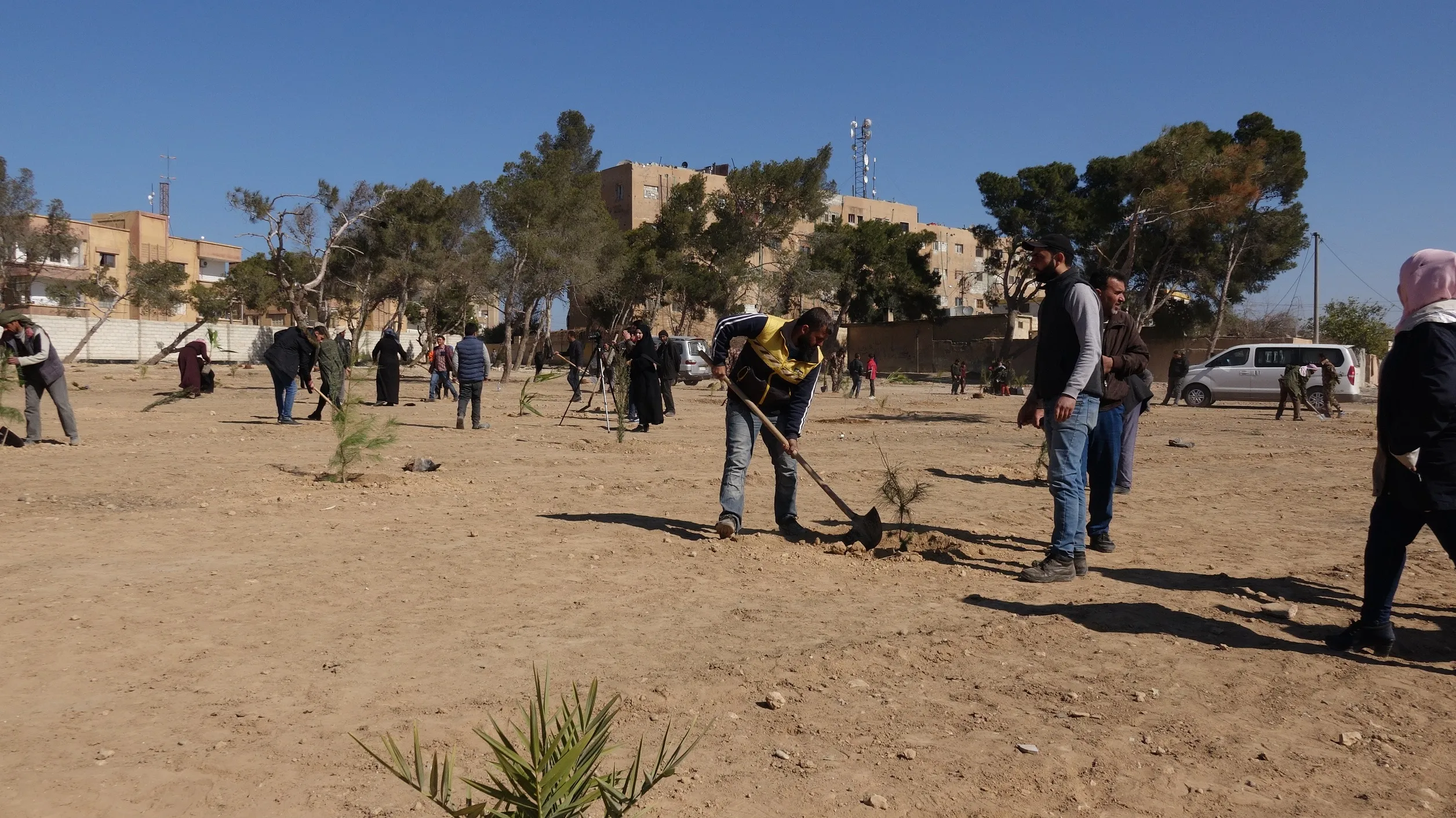Li Tebqayê pêngava çandina daran