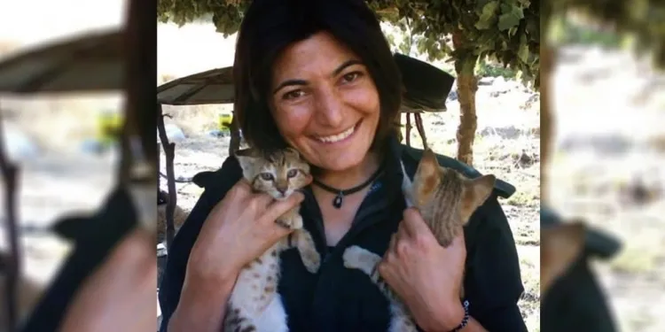 Ji bo Zeyneb Celaliyan wê li ser torên civakî kampanya dest pê bike