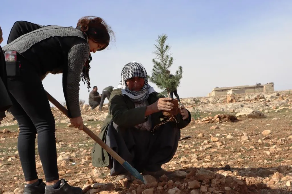 Li Kobanê bi hezaran dar hatin çandin