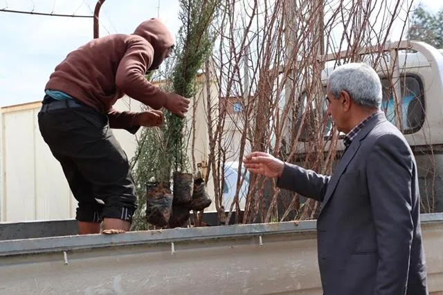 Jinan pêngaveke berfireh a çandina daran dan destpêkirin