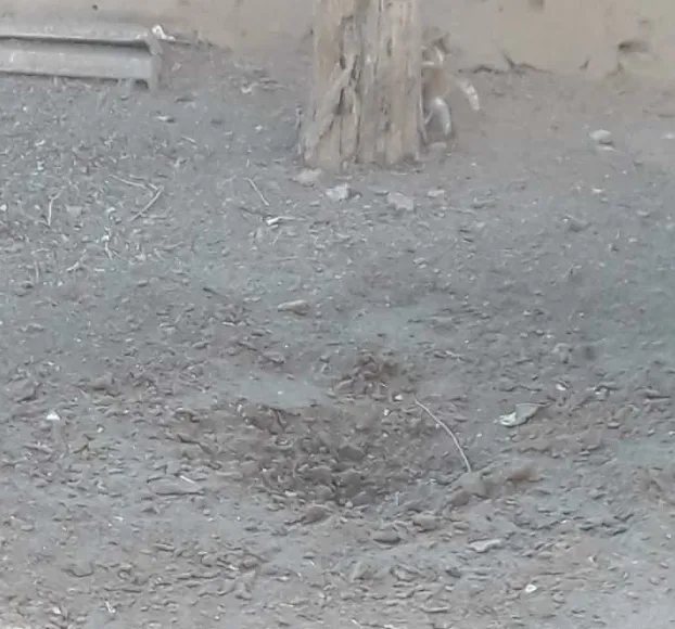 Şopên topbarana dewleta Tirk li ser gundê Kirîşk ê Dirbêsiyê