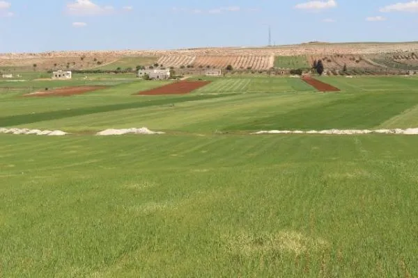 Basim Osman: Di encama dorpêçê de çandinî li Şehbayê paşve çûye