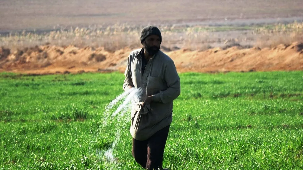 Gerînendeya Çandiniyê ya Girê Spî destekê dide cotkaran