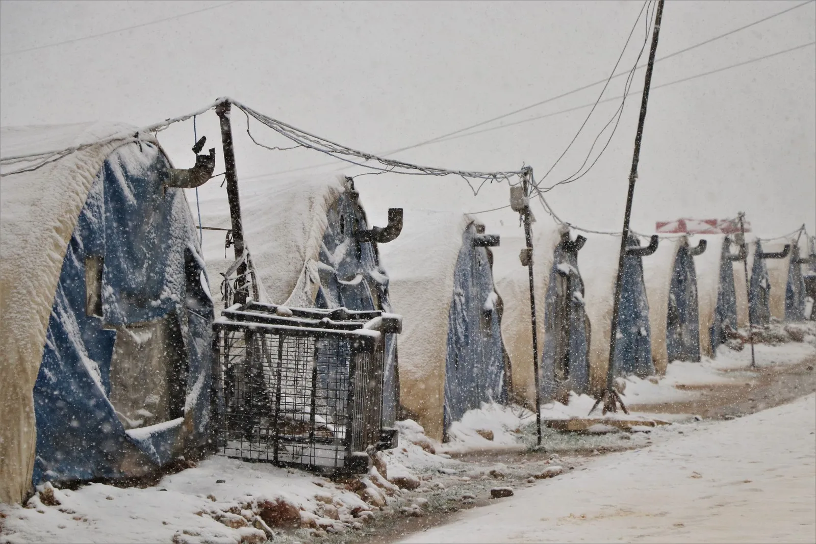 ​​​​​​​Şehba bi berfê spî bûye