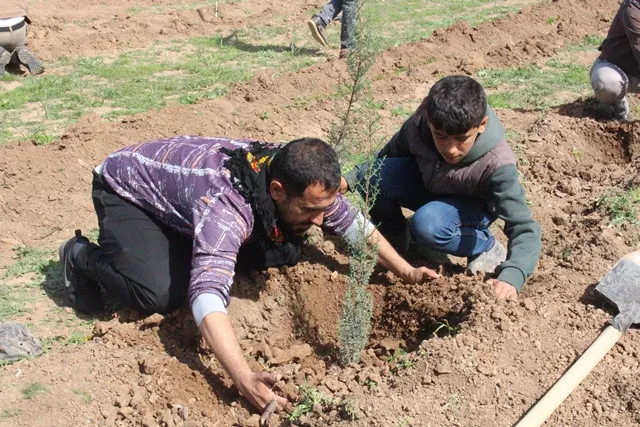 Bi boneya rojbûna rêber Abdullah Ocalan li Bakur û Rojhilatê Sûriyê çalakiyên cihereng