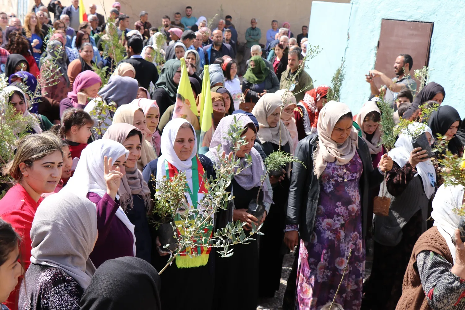 Bi boneya rojbûna rêber Abdullah Ocalan dar li Eyn Îsayê hatin çandin